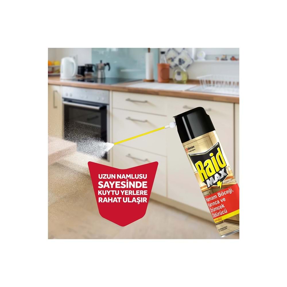 RAİD BÖCEKSAVAR MAX 300 ML