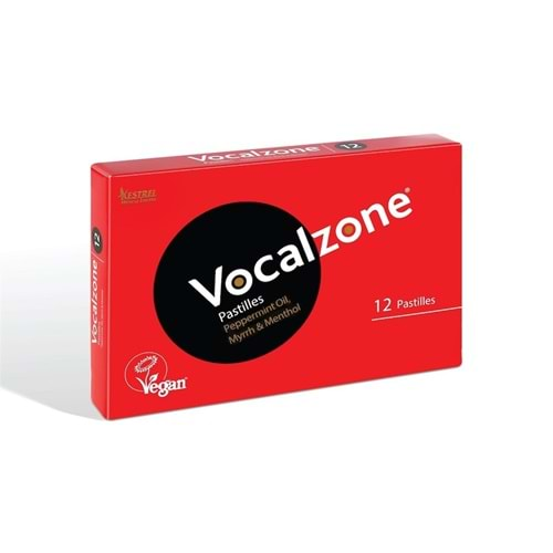 VOCALZONE KLASİK PASTİL 12